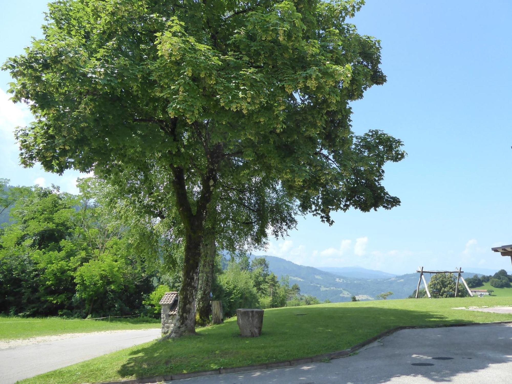 Baita Tersilia Near Lake And Mountain Veneto Villa Pranolz Exterior photo